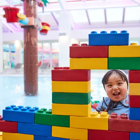240206 LEGO LAND 03076 (1)